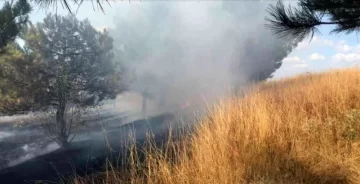 Edirne’de Ormanlık alanda çıkan yangın, büyümeden söndürüldü