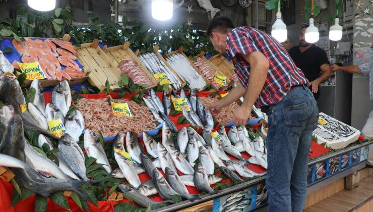 Edirne’de balıkçı tezgahları yeni sezonun ilk balıklarıyla çeşitlendi