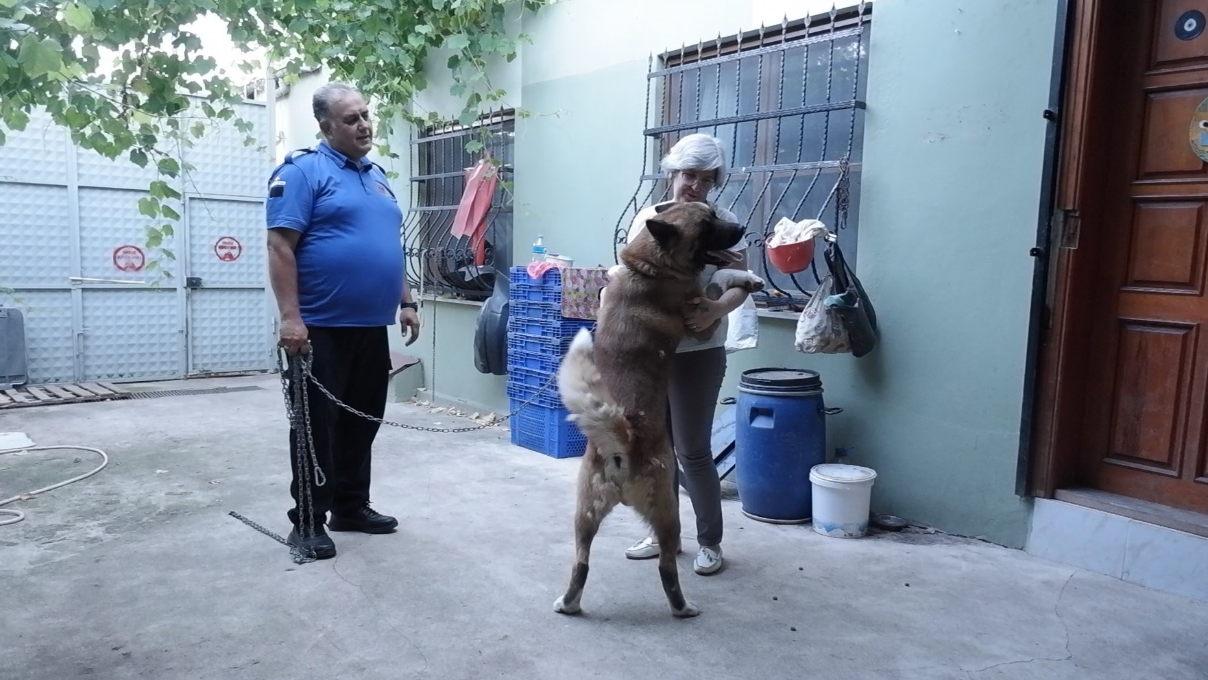 Edirne’de Çift, Sahiplendikleri Köpek ve Kediler İçin Aylık 10 Bin Lira Harcıyor