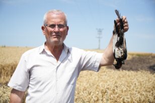 Edirne’de Saksağan Kuşunun Yangına Sebep Olduğu Buğday Tarlasında 70 Bin TL Zarar