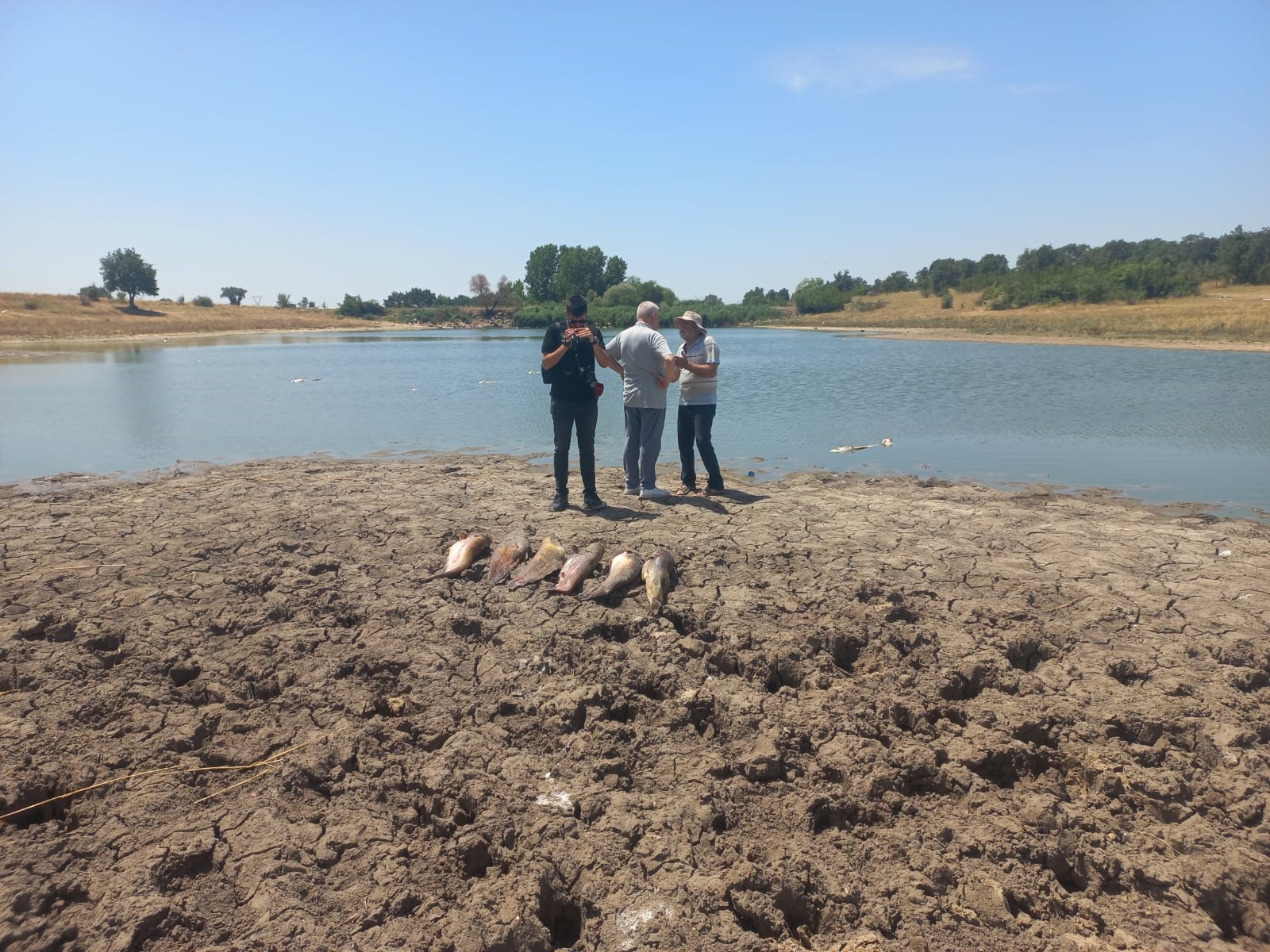 Edirne Küçükdöllük Köyündeki Gölette Toplu Balık Ölümleri Araştırılıyor