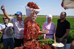 Edirne’nin Meşhur Karaağaç Biberinin Hasadı Başladı