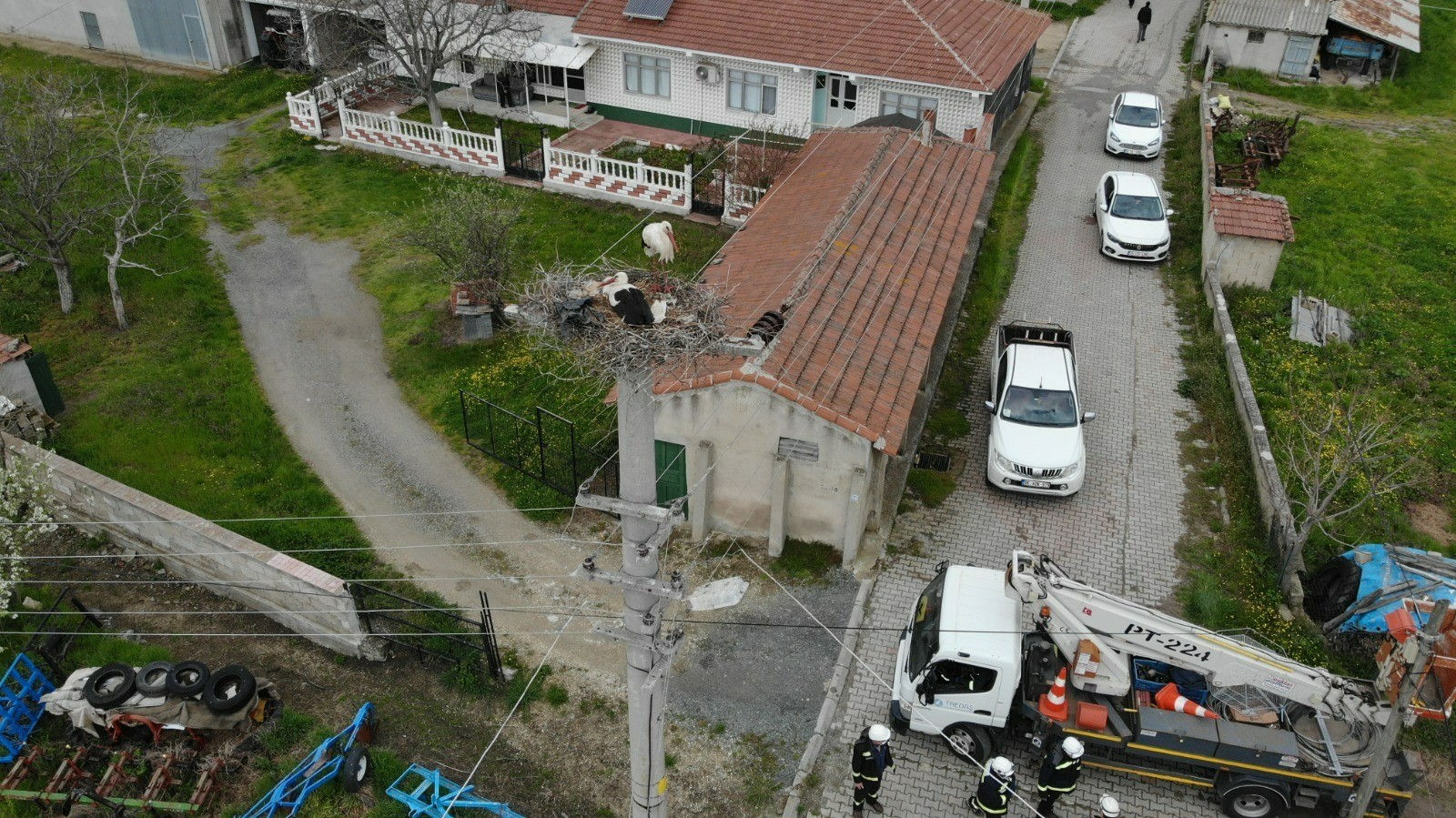 TREDAŞ, Leylek Yuvalarını Koruyor